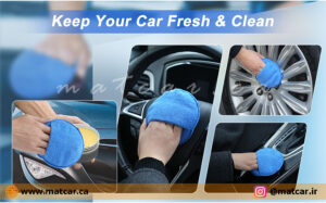 پد تمیز کننده و واکس داخل خودرو نرتا nerta